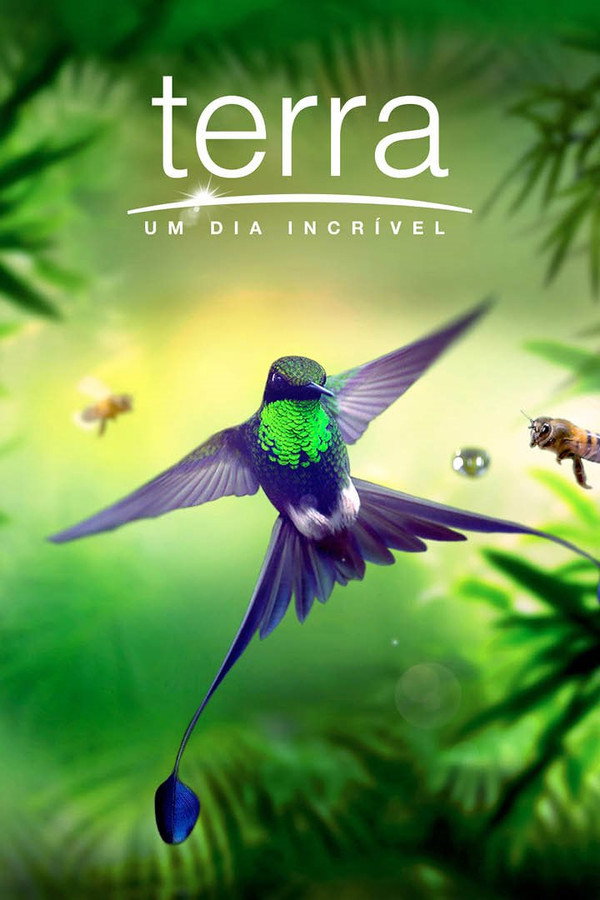 Terra: Um Dia Incrível