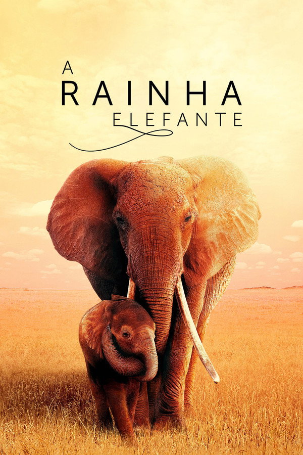 A Rainha Elefante