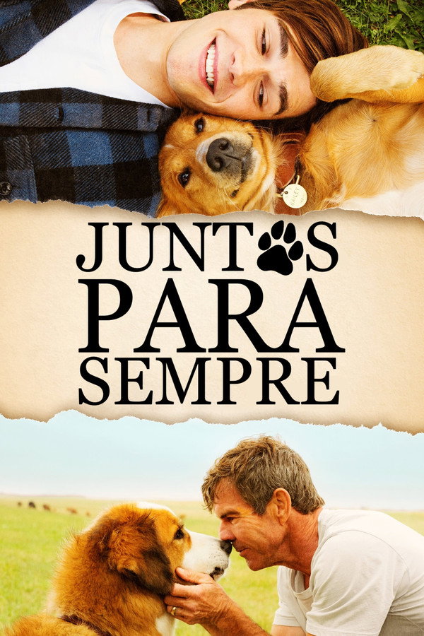Quatro Vidas de um Cachorro