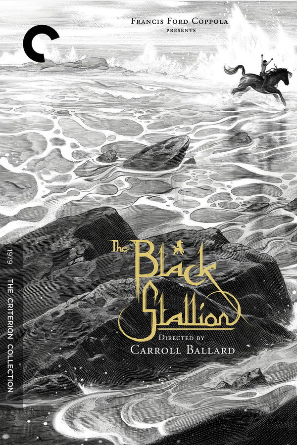 The Black Stallion