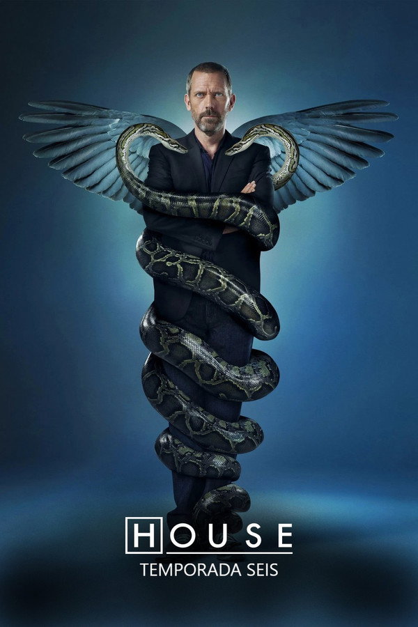 Dr. House Temporada 6