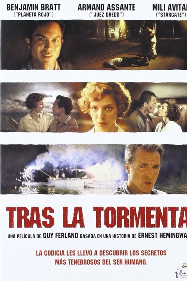Tras la tormenta