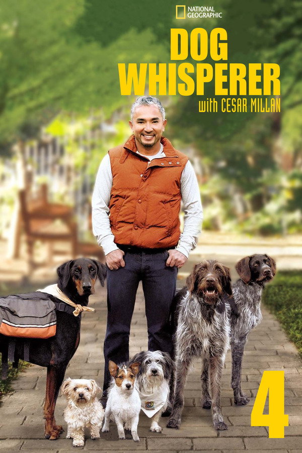 Dog Whisperer Season 4