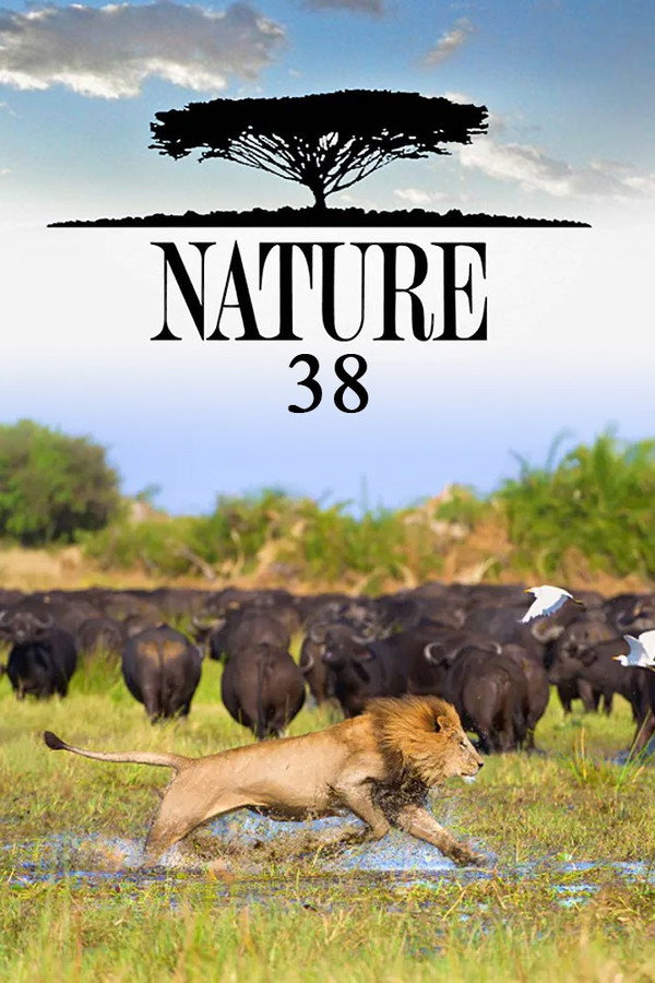 Nature Season 38