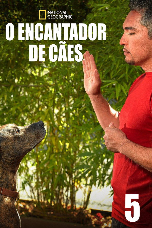 O Encantador de Cães Temporada 5