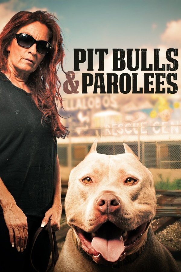Pit Bulls and Parolees Season 6