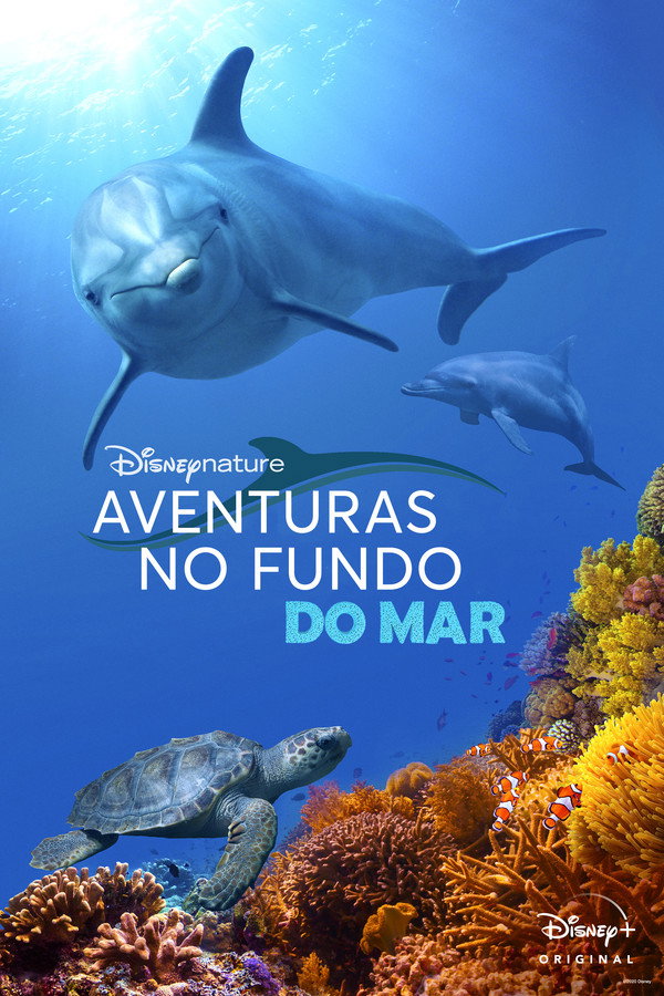 O Recife do Golfinho