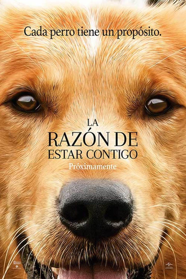 La razón de estar contigo