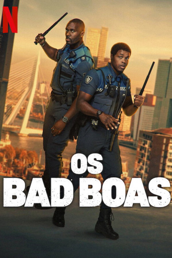 Parceiros na Boa