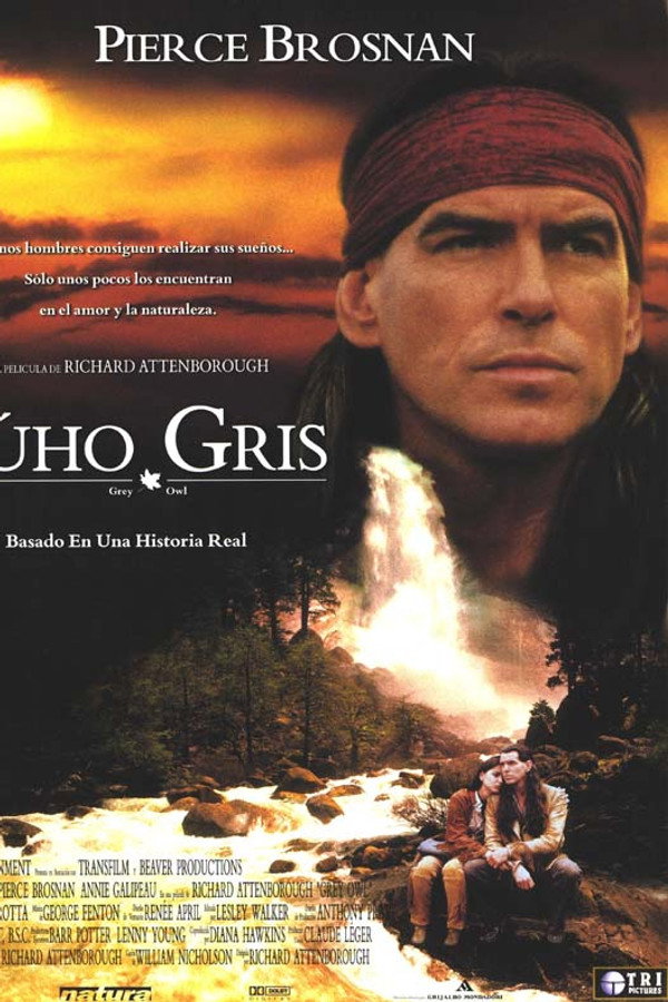 Búho Gris