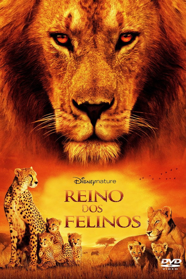 Grandes felinos africanos: el reino del coraje